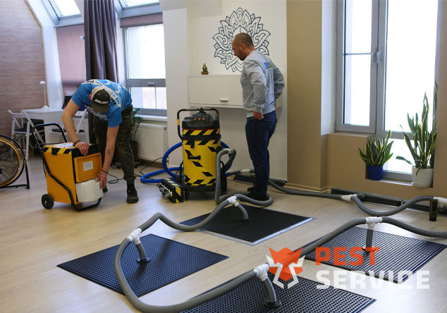 Профессиональная сушка после потопа в Давлеканово от 3000 руб. Быстро устраняем влагу, предотвращаем плесень и повреждения. Современное оборудование и опытные специалисты. Безопасно и эффективно.